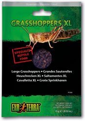 Exo Terra Grasshoppers X-Large Vacuum Packed Reptile Food, 0.53-oz bag