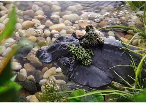 Show full view: Exo Terra Hippo-Turtle Island Reptile Terrarium Ornament slide 2 of 6