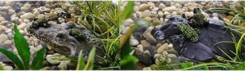 Show full view: Exo Terra Hippo-Turtle Island Reptile Terrarium Ornament slide 5 of 6