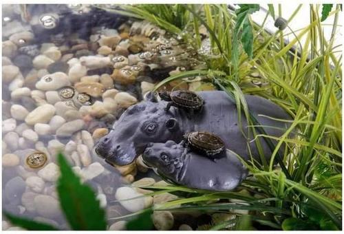 Show full view: Exo Terra Hippo-Turtle Island Reptile Terrarium Ornament slide 3 of 6