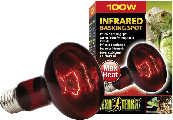 EXO TERRA Infrared Basking Reptile Spot Lamp, 100-w bulb