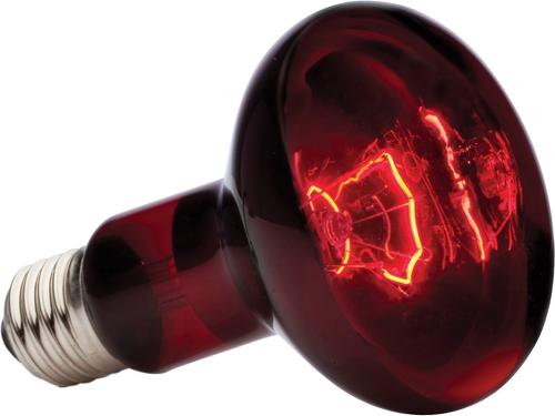 Show full view: Exo Terra Infrared Basking Reptile Spot Lamp, 100-w bulb slide 2 of 6