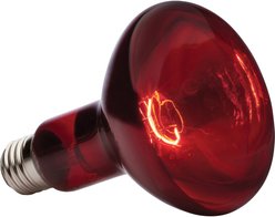 Exo Terra Infrared Basking Reptile Spot Lamp, 150-w bulb slide 2 of 3