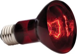 Exo Terra Infrared Basking Reptile Spot Lamp, 75-w bulb slide 2 of 3
