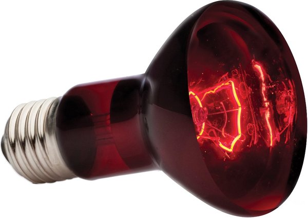 Show full view: Exo Terra Infrared Basking Reptile Spot Lamp, 75-w bulb slide 2 of 5