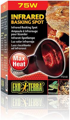 Show full view: Exo Terra Infrared Basking Reptile Spot Lamp, 75-w bulb slide 3 of 5