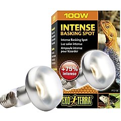 Exo Terra Intense Basking Reptile Spot Lamp, 100-w bulb
