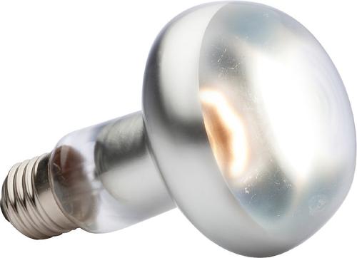 Show full view: Exo Terra Intense Basking Reptile Spot Lamp, 100-w bulb slide 2 of 4
