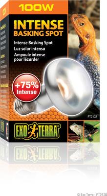 Show full view: Exo Terra Intense Basking Reptile Spot Lamp, 100-w bulb slide 4 of 4