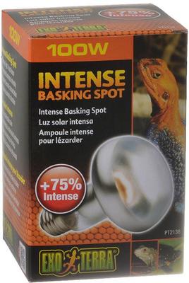 Show full view: Exo Terra Intense Basking Reptile Spot Lamp, 100-w bulb slide 3 of 4