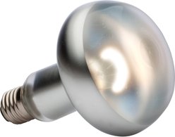 Exo Terra Intense Basking Reptile Spot Lamp, 150-w bulb slide 2 of 3