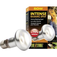 Exo Terra Intense Basking Reptile Spot Lamp, 50-w bulb