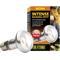 Show in main carousel: Exo Terra Intense Basking Reptile Spot Lamp, 50-w bulb slide 1 of 4