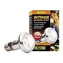 Exo Terra Intense Basking Reptile Spot Lamp, 50-w bulb