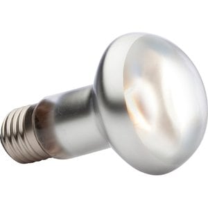 Exo Terra Intense Basking Reptile Spot Lamp, 50-w bulb