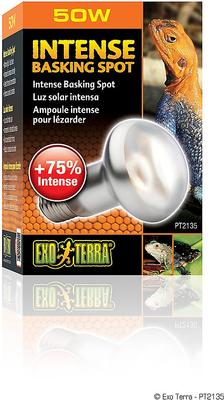 Show full view: Exo Terra Intense Basking Reptile Spot Lamp, 50-w bulb slide 3 of 4