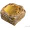 Show in main carousel: Exo Terra Invertebrate Reptile Water Dish slide 1 of 3