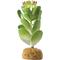 Show in main carousel: Exo Terra Jade Cactus Reptile Terrarium Plant slide 1 of 1