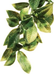 Exo Terra Mandarin Plastic Plant, Medium