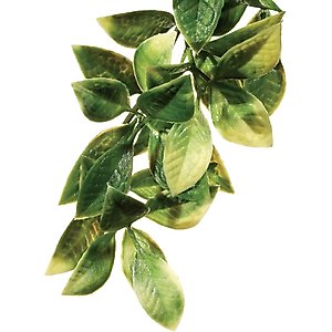 Exo Terra Mandarin Plastic Plant, Small