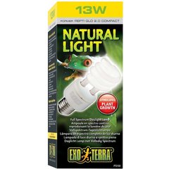 Exo Terra Natural Daylight Reptile Lamp, 13-w bulb