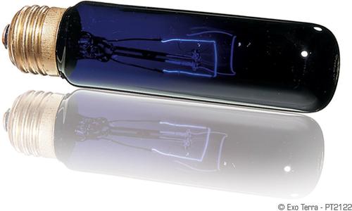 Show full view: Exo Terra Night Heat Bulb Reptile Lamp, 25-w bulb slide 2 of 4