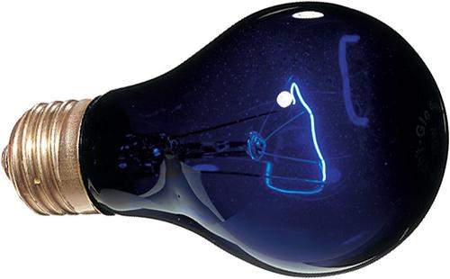 Show full view: Exo Terra Night Heat Bulb Reptile Lamp, 50-w bulb slide 2 of 6