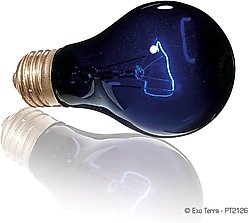 Exo Terra Night Heat Bulb Reptile Lamp, 75-W bulb slide 2 of 7