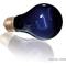 Show in main carousel: Exo Terra Night Heat Bulb Reptile Lamp, 75-W bulb slide 2 of 9