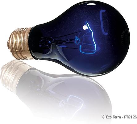 Show full view: Exo Terra Night Heat Bulb Reptile Lamp, 75-W bulb slide 2 of 9
