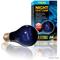 Show in main carousel: Exo Terra Night Heat Bulb Reptile Lamp, 75-W bulb slide 3 of 9