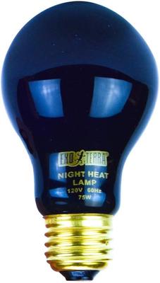 Show full view: Exo Terra Night Heat Bulb Reptile Lamp, 75-W bulb slide 6 of 9