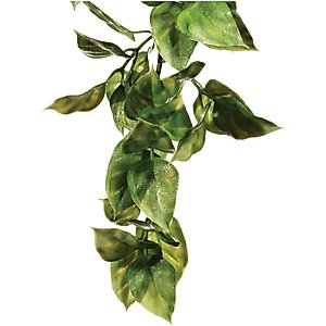 Exo Terra Plastic Amapallo Terrarium Plant, Small