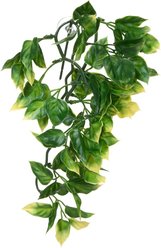 Exo Terra Plastic Amapallo Terrarium Plant, Small slide 2 of 3