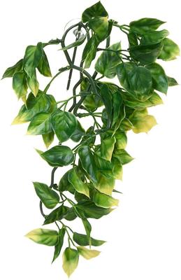 Show full view: Exo Terra Plastic Amapallo Terrarium Plant, Small slide 3 of 4