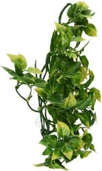 Exo Terra Plastic Terrarium Reptile Plant, Medium, Amapallo slide 2 of 5
