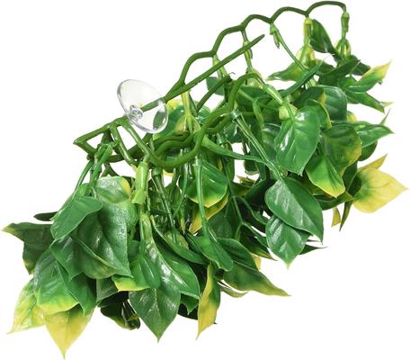 Show full view: Exo Terra Plastic Terrarium Reptile Plant, Medium, Amapallo slide 4 of 5