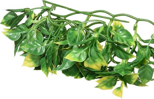 Show full view: Exo Terra Plastic Terrarium Reptile Plant, Medium, Amapallo slide 3 of 5