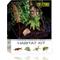 Show in main carousel: Exo Terra Rainforest Reptile Habitat Kit, Medium slide 1 of 4
