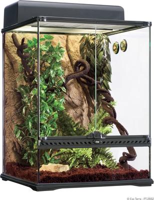 Show full view: Exo Terra Rainforest Reptile Habitat Kit, Medium slide 2 of 4