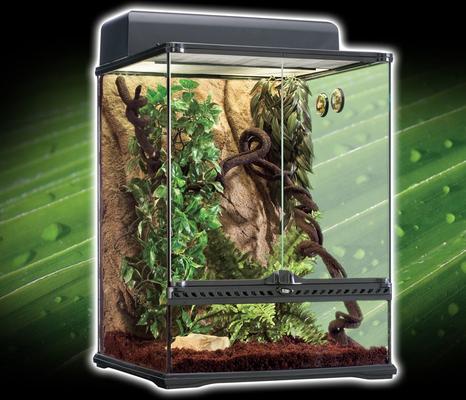 Show full view: Exo Terra Rainforest Reptile Habitat Kit, Medium slide 3 of 4