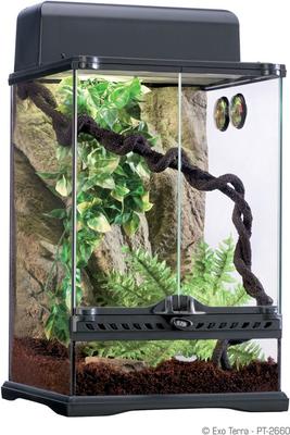 Exo Terra Rainforest Reptile Habitat Kit