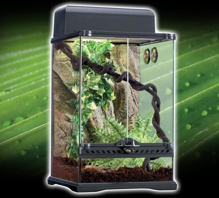 Exo Terra Rainforest Reptile Habitat Kit