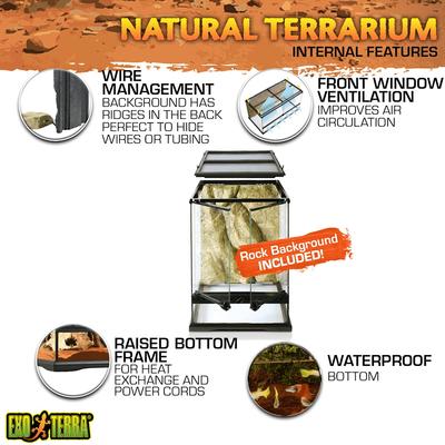 Exo Terra Rainforest Reptile Habitat Kit
