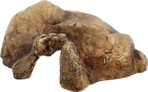 Show full view: Exo Terra Reptile Cave, Large slide 8 of 10