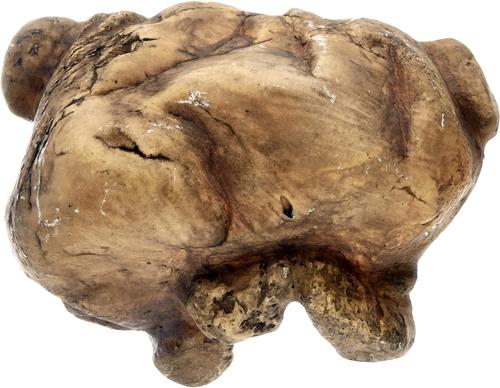 Show full view: Exo Terra Reptile Cave, Large slide 6 of 10