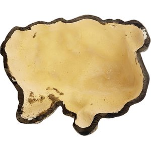 Exo Terra Reptile Cave, Large