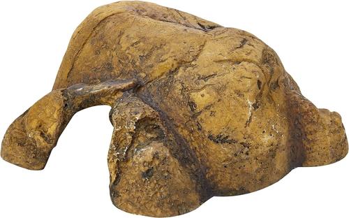 Show full view: Exo Terra Reptile Cave, Medium slide 3 of 6