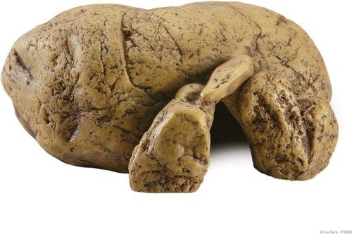 Show full view: Exo Terra Reptile Cave, Small slide 5 of 6