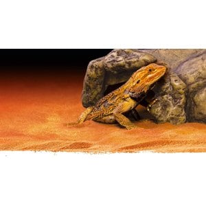 Exo Terra Reptile Cave, Small